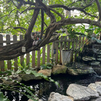 Cho Thuê Biệt Thự Đẹp Nhất Khu Compound Valora Fujji, Giá 35 Triệu/Tháng Đã Bao Gồm Tất Cả Các Chi Phí.