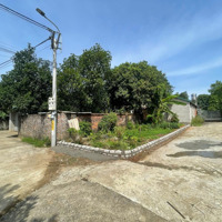 Bán Nhanh Lô Đất 65,5 M2 Góc Đẹp Tại Cổ Đông, Sơn Tây