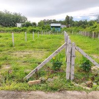 Bán (20X50=1000M2) Đất Tc, 4Shr Công Nghiệp Kho Xưởng Đông, Trung Tâm Tiện Ích