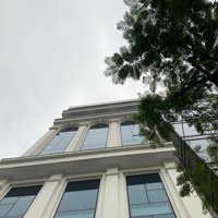 Cho Thuê Nhà Mặt Phố, Nguyễn Ngọc Vũ, 248 Triệu, 180M2, Giá Cực Chất, Thanh Xuân, Hà Nội