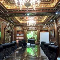 biệt thự dát vàng 1T2L lê đức thọ , phường 7, gò vấp dt 176m2 giá 38ty