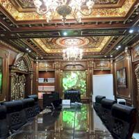 biệt thự dát vàng 1T2L lê đức thọ , phường 7, gò vấp dt 176m2 giá 38ty