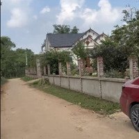 Hoa Hậu Đầu Xuân Cho Các Nhà Đầu Tư Xã Ân Nghĩa, Lạc Sơn, Hòa Bình