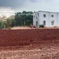 Bán Đgts Đất Tại Tđ Số 561 Xã Sông Xoài, Thị Xã Phú Mỹ, Tỉnh Bà Rịa - Vũng Tàu