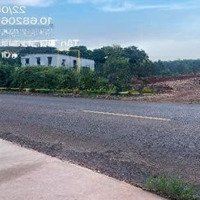 Bán Đgts Đất Tại Tđ Số 561 Xã Sông Xoài, Thị Xã Phú Mỹ, Tỉnh Bà Rịa - Vũng Tàu
