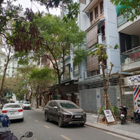 Tôi Cần Bán Nhà 5 Tầngdiện Tích50M2 Xmặt Tiền5M, Ngõ Ô Tô Tránh Văn Phú, Hà Đông. Giá Bán 12.8 Tỷ Có Tl