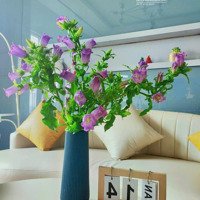 Dòng Tiền 25 Triệu/Th Nhà Đẹp 6 Phòng Ngủdiện Tích65M2 Trưng Nữ Vương, Hải Châu Chỉ 6.3 Tỷ.