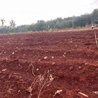 Bán Đgts Đất Tại Tđ 535 Xã Sông Xoài, Thị Xã Phú Mỹ, Tỉnh Bà Rịa - Vũng Tàu