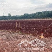 Bán Đgts Đất Tại Tđ 535 Xã Sông Xoài, Thị Xã Phú Mỹ, Tỉnh Bà Rịa - Vũng Tàu