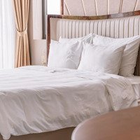 Bán Căn Hộ Roman Plaza Tố Hữu, Gần 100M2, 3 Phòng Ngủ- 2Vs, Đầy Đủ Nội Thất, Tầng Đẹp, Giá Chỉ 6,5Tỷ