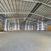 Cho Thuê Kho 4000M2 Dĩ An ( Giáp Thủ Đức )