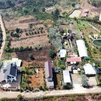 Bán Đất Tại Xã Tà Nung, Đà Lạt, Lâm Đồng, 18 Tỷ, 3000 M2 - Chính Chủ Hot