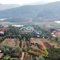 Bán Đất Tại Xã Tà Nung, Đà Lạt, Lâm Đồng, 18 Tỷ, 3000 M2 - Chính Chủ Hot