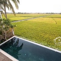 Siêu Phẩm Lô View Lúa Nở Hậu Sát Chuỗi Resort Nam Hội An/Sổ Hồng/195M2.Lh 336/421/702