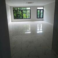 Cho thuê shophouse thông sàn thang máy Vinhome Hàm Nghi, Nam Từ Liêm. DT 95m x 5t, mt 6m. 60tr