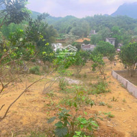 Bán Đất Tại Xã Hùng Sơn, Kim Bôi, Hòa Bình, 1,3 Tỷ, 1600 M2, View Đẹp Giá Cực Chất