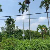 Bán Đất Trồngbán Đất Trồng Cây Lâu Năm Đường Trường Lưu,15 Triệu / M2, 1084 M2, View Đẹp, Chính Chủ