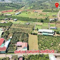 Duy Nhất: Mặt Tiền Phùng Hưng, Lộc Tiến Full 210M2, Full Thổ Cư Giá Tốt Buông Sổ