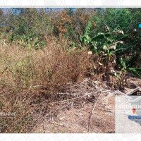 Bán Đgts Đất Tại Xã Tân Thành, Thành Phố Đồng Xoài, Tỉnh Bình Phước