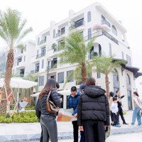 Cđt Bảo Hưng Vaquarius Cập Nhật Quỹ Căn Độc Quyền, Suất Ngoại Giao, Giá Tốt Nhất. Liên Hệ: 0981906606