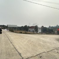 Lô Góc 2 Mặt Tiền Tại Cẩm Lĩnh, Ba Vì, Hà Nội Hơn 330M2 Tài Chính Nhích 1,5 Tỷ Đường Rộng