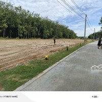Khám Phá Đất Nền Vàng Tại Tân Long Cơ Hội Đầu Tư Và An Cư Hoàn Hảo!