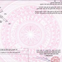 Khám Phá Đất Nền Vàng Tại Tân Long Cơ Hội Đầu Tư Và An Cư Hoàn Hảo!