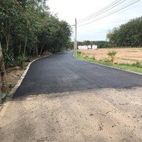 Khám Phá Đất Nền Vàng Tại Tân Long Cơ Hội Đầu Tư Và An Cư Hoàn Hảo!