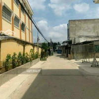 Đất Ngộp Hẻm Đường Thầy Cai, Gần Vòng Xoay Phú Hưng, Xã Phú Hưng, Bến Tre,Diện Tích150M2/550 Triệu, Shr