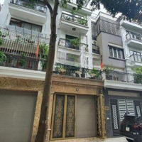 Cho Thuê Nhà Liền Kề 48A Kđt Trung, Diện Tích: 55M2 X 4,5 T, Mt: 4,2M , Ô Tô Tránh Nhau