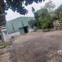 Xưởng Tân Lập, Ngay Vsip 3, 2400M2 Giá Bán 58 Triệu/Tháng