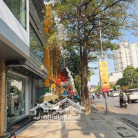 Mặt Bằng Kinh Doanh Đường Cầu Giấy Diện Tích 50M2 Mặt Tiền 5.5M, Nhận Diện Thương Hiệu