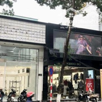 Mặt Bằng Kinh Doanh Đường Cầu Giấy Diện Tích 50M2 Mặt Tiền 5.5M, Nhận Diện Thương Hiệu
