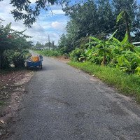 Bán Đất 22000M2, Tại Xã Ninh Điền, Châu Thành, Tây Ninh