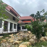 Bán Nhà Biệt Thự View Sông Cu Đê Hòa Bắc 1000M2 Có 150M2 Đất Ở Đường Dt601