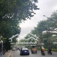 Cho Thuê Nhà Mặt Phố Nguyên Hồng - Đống Đa, Diện Tích 60M2 Mặt Tiền 5.5M, Nhận Diện Thương Hiệu
