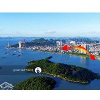 Bán Nhà Đẹp Giá Sốc: Quỹ Căn The Ruby Hạ Long Giá Tốt Nhất Thị Trường (Cập Nhật Tháng 02/2025)