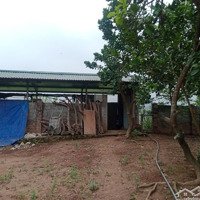 Đất Nghỉ Dưỡng View Toàn Cảnh Sông Đà, Cách Tl414 Chỉ 200M, Cách Nhà Vh Trường Mầm Non Vài Trăm Mét