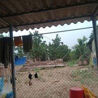 Đất Nghỉ Dưỡng View Toàn Cảnh Sông Đà, Cách Tl414 Chỉ 200M, Cách Nhà Vh Trường Mầm Non Vài Trăm Mét