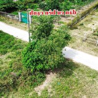 Đất Thổ Cư, Đường Liên Xã Diên An, Chỉ 950 Triệuiệu. Liên Hệ: 0333039068