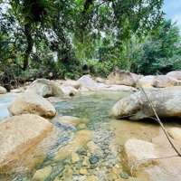 Bán Mảnh Giáp Suối Lách - Giang Ly 1525M2 Có Qh Thổ Cư - Đường Nhựa 8M