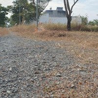 Biệt Thự Vườn Cho Gia Đình Bạn Tài Khoản Daresco Đức Hòa Long An