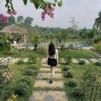 Chính Chủ Cần Bán Villa Laifarm Vân Hoà, Ba Vì, Hà Nội, 2220M2, Sẵn Dòng Tiền Kinh Doanh Homestay