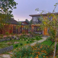 Chính Chủ Cần Bán Villa Laifarm Vân Hoà, Ba Vì, Hà Nội, 2220M2, Sẵn Dòng Tiền Kinh Doanh Homestay