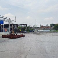 Bán Đất Giáp Q12Diện Tích2743M2 Full Thổ Cư Tại Nguyễn Thị Sáng, Đông Thạnh, Hóc Môn