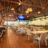 Nhận Ngay Mặt Bằng Phố Tuệ Tĩnh Làm Cafe Chụp Ảnh, Diện Tích 90M2 Tầng 1, Mặt Tiền 9M, Thông Sàn