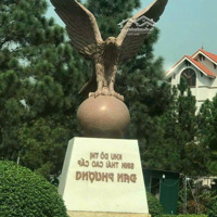 Bán Biệt Thự 200M - 400M The Phoenix