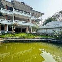 Siêu Phẩm! Biệt Phủ Cao Cấp 1250M2 Tại Hoà Sơn, Lương Sơn, Full Đồ Nội Thất, Bể Bơi, Khuân Viên