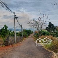Bán Đất Sẵn Thổ Cư 1103M2 Hẻm Tôn Thất Thuyết _ Đamri_ Tp Bảo Lộc
