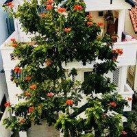 Bán Biệt Thự 200M2 (10X20M) Tại Phan Chu Trinh P.2 Tp. Vt Giá Cực Tốt 17 Tỷ Còn Thương Lượng